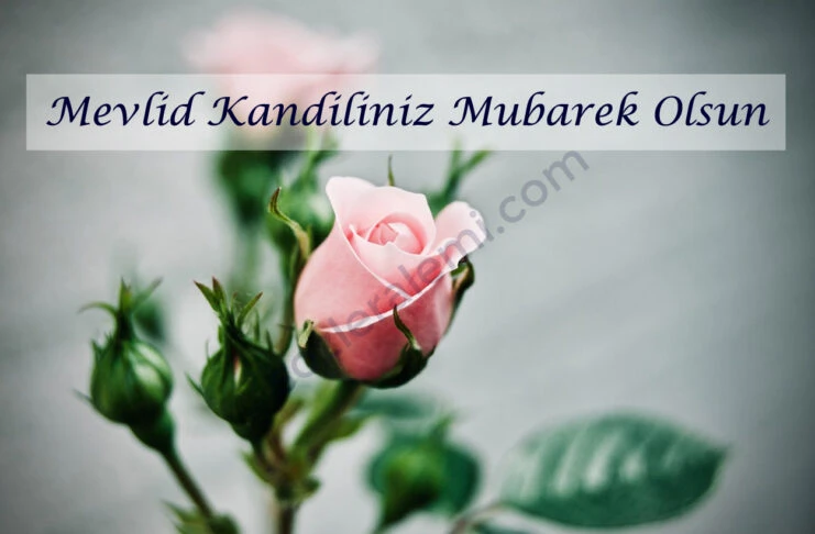 hayirli kandıller en yenı en ozel resımlı kandıl mesajlari (15)